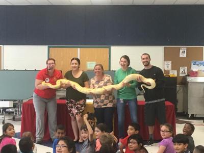 Photo of large snake held by staff